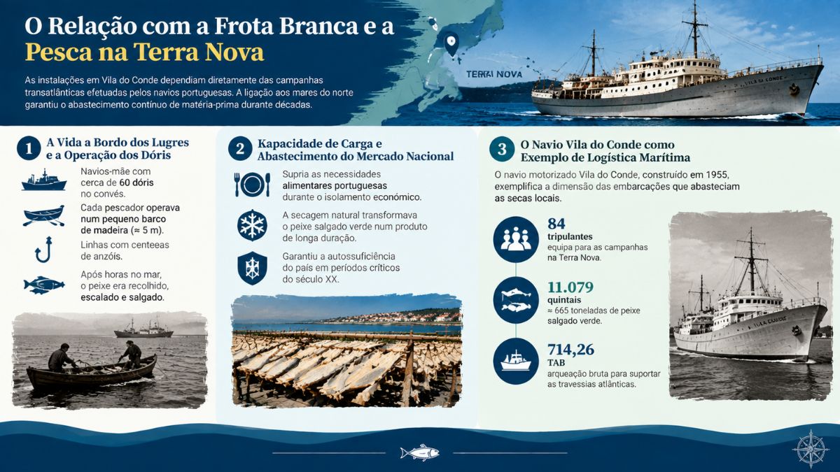 Infográfico histórico detalhando a frota branca, a pesca de bacalhau em dóris na Terra Nova e dados do navio Vila do Conde.