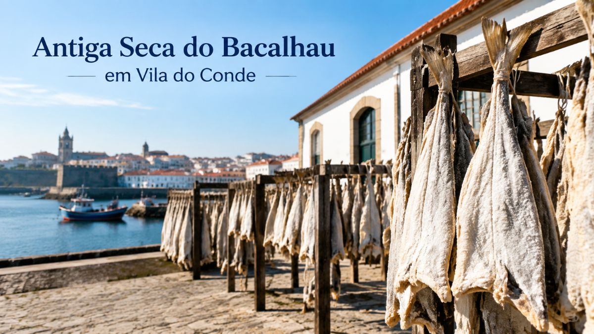 Bacalhau pendurado em varais de madeira ao ar livre para secar ao sol na antiga seca de Vila do Conde com a zona ribeirinha ao fundo.