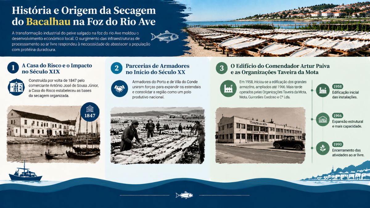 Infográfico histórico sobre a origem da seca do bacalhau em Vila do Conde mostrando a Casa do Risco, armadores e o edifício de 1958.
