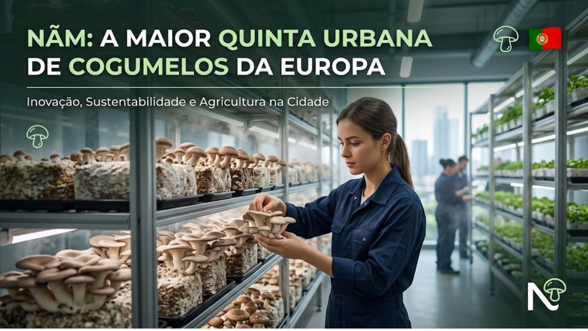 Uma especialista examina a produção sustentável de cogumelos nas instalações da Nãm, a maior quinta urbana da Europa localizada em Portugal.