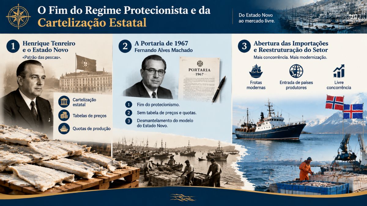 Infográfico sobre a transição do regime protecionista para o mercado livre no setor do bacalhau em Portugal. A primeira coluna apresenta Henrique Tenreiro e as políticas de cartelização estatal do Estado Novo. A segunda coluna destaca a Portaria de 1967 de Fernando Alves Machado, com documento oficial e o fim da tabela de preços. A terceira coluna aborda a reestruturação do setor, a abertura às importações e a modernização da frota pesqueira com as bandeiras da Noruega e da Islândia.