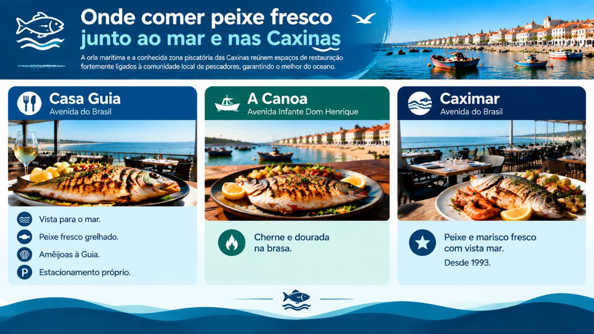 Infográfico com restaurantes de peixe fresco à beira-mar nas Caxinas em Vila do Conde incluindo Casa Guia, A Canoa e Caximar.