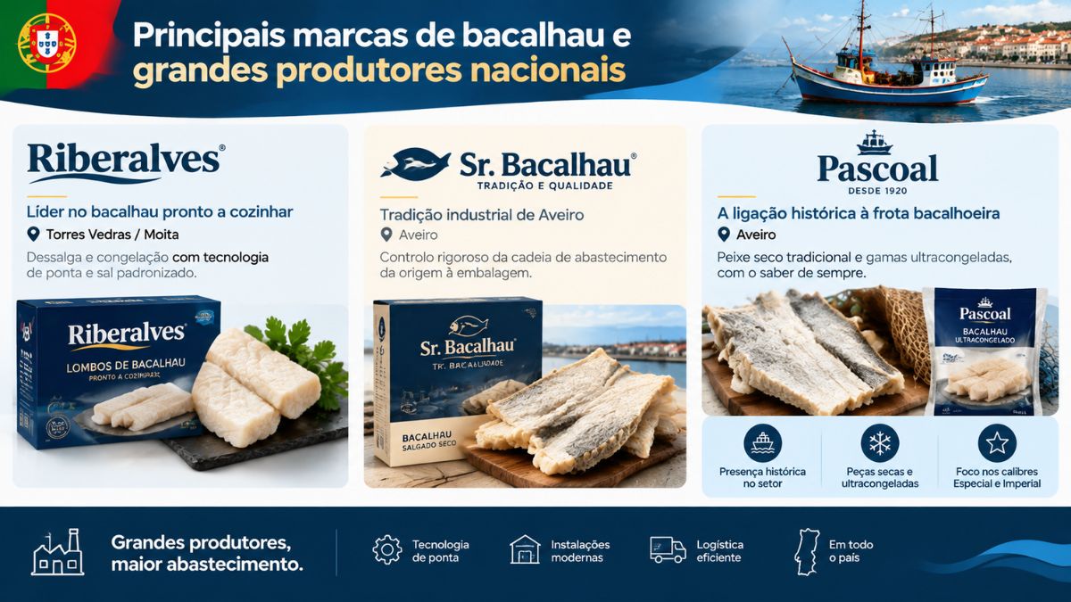 Infográfico informativo apresentando as principais marcas de bacalhau em Portugal, destacando as empresas Riberalves, Sr. Bacalhau e Pascoal com as suas respetivas embalagens, localizações industriais e métodos de processamento do peixe salgado.